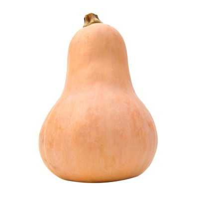 Organic Squash