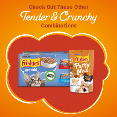 Purina Friskies Dry Cat Food, Tender & Crunchy Combo
