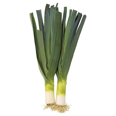 Leek
