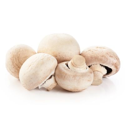 Organic Mushroom