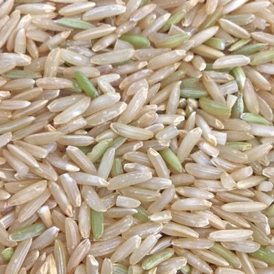 Lundberg Family Farms Organic Brown Basmati Rice