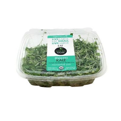 Organic America Micro Salad Organic Micro Radish Mix