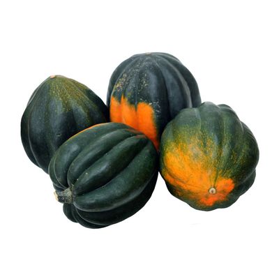 Acorn Squash