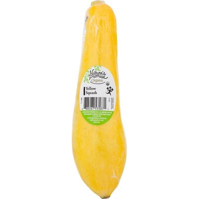 Organic Yellow Squash