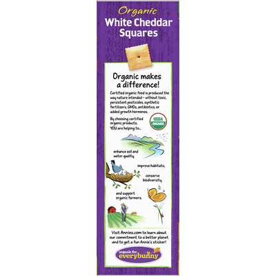 Annie's Organic White Cheddar Squares Baked Snack Crackers