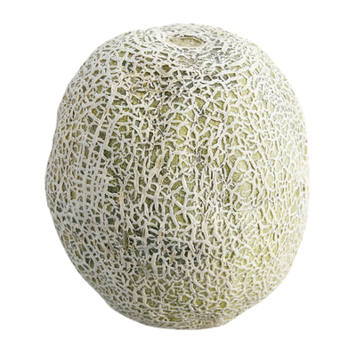 Organic Cantaloupe Melon