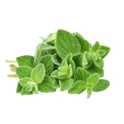 Goodness Garden Organic Oregano