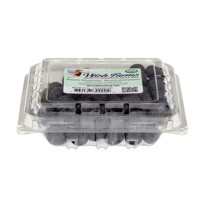 Wish Farms Organic Blueberries