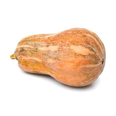Squash