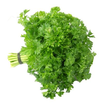 Chervil Bunch
