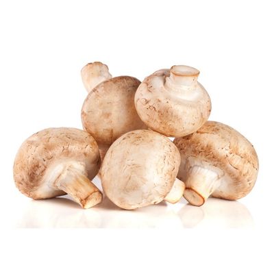 Mushroom