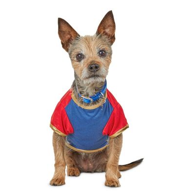 Marvel Ct Extra Small T-Shirt