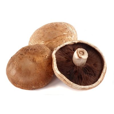 Portabello Mushroom