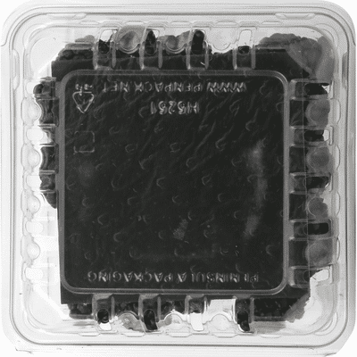Sunbelle Blackberries