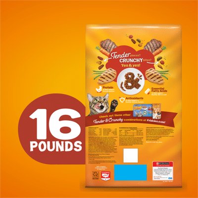 Purina Friskies Dry Cat Food, Tender & Crunchy Combo