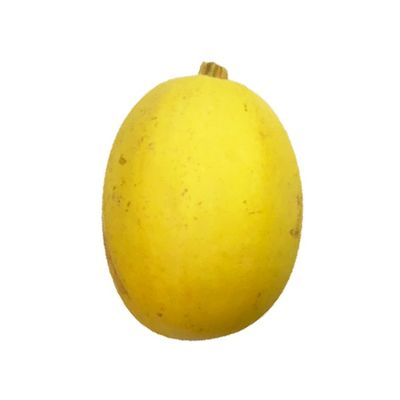 Organic Spaghetti Squash