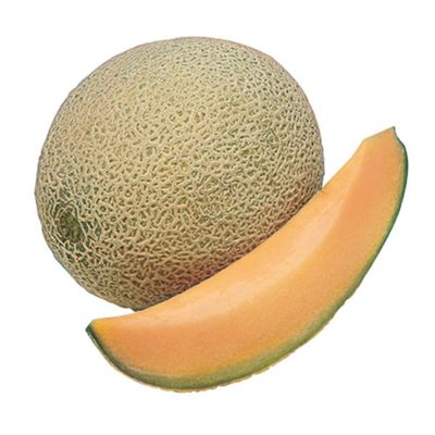 Cantaloupe Melon