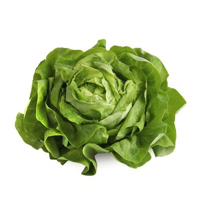 Organic Butterhead (Boston, Butter, Bibb) Lettuce