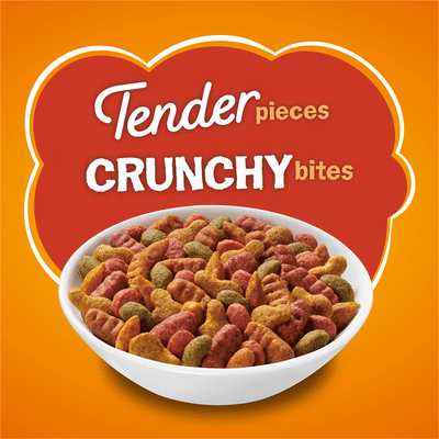 Purina Friskies Dry Cat Food, Tender & Crunchy Combo