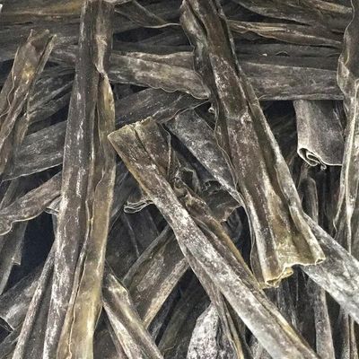 Kombu Sea Vegetable
