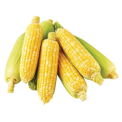 White Sweet Corn