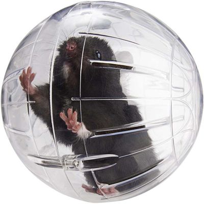 Lee's Kritter Krawler Jumbo Exercise Ball for Small Pet Rodents