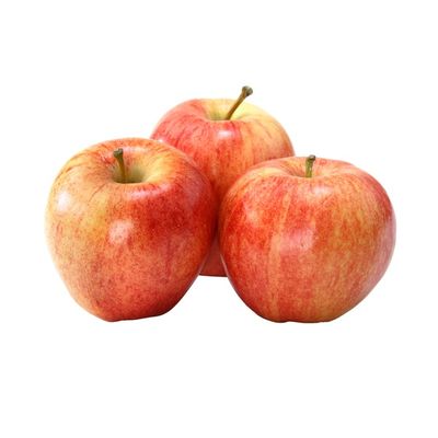 Organic Gala Apple