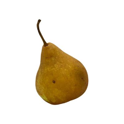 Bosc Pear