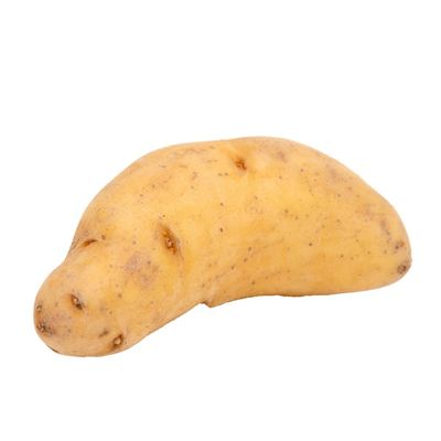 French Organic Fingerling Potato
