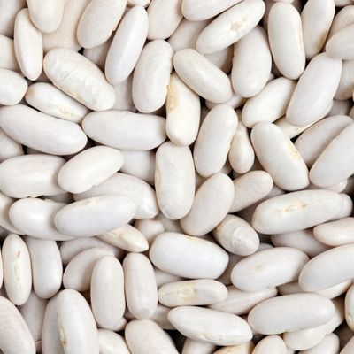 Great Northern Beans