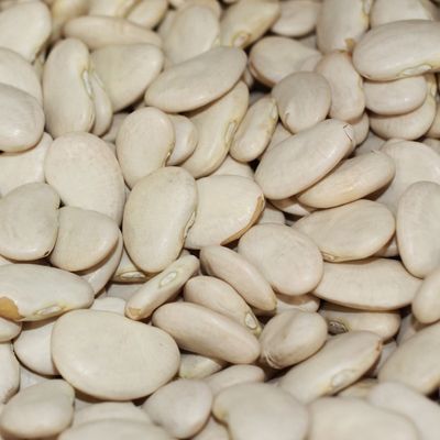 Organic Beans