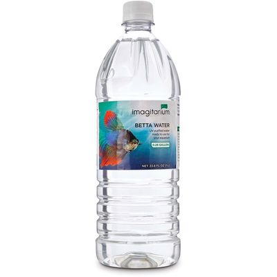 Imagitarium Betta Aquarium