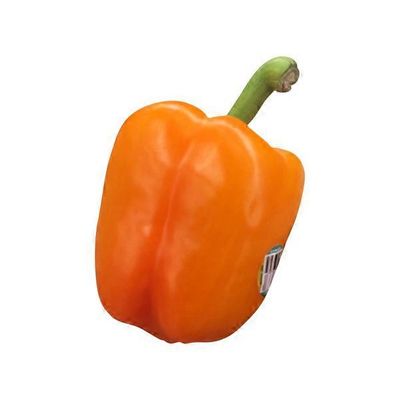 Orange Bell Pepper