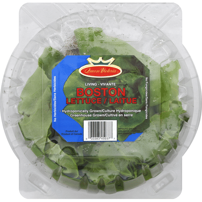 Butter Valley Harvest Butterhead Lettuce