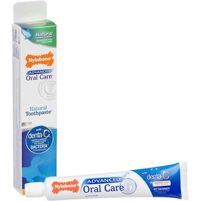 Nylabone Advanced Oral Care Natural Peanut Flavor Dog Toothpaste