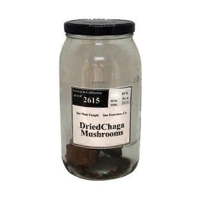 Far West Fungi Dried Chaga Mushroom
