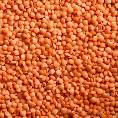 Organic Red Lentils
