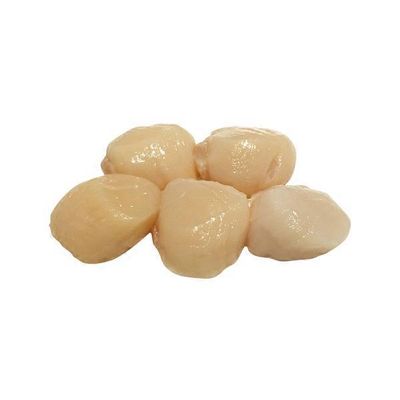 Samuels Dry Sea Scallops
