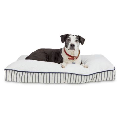 harmony dog bed