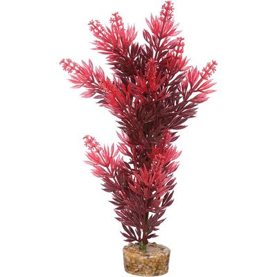 Imag Large Red Bush Plant