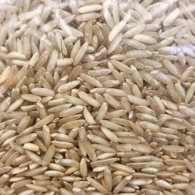 Lundberg Family Farms Organic Brown Jasmine Rice