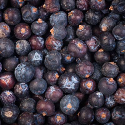 Organic Dried Juniper Berries