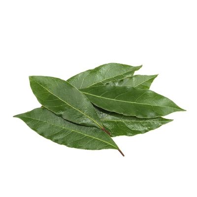 Organic Fresh Bay Leaves