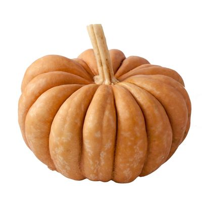 Organic Cinderella Pumpkin