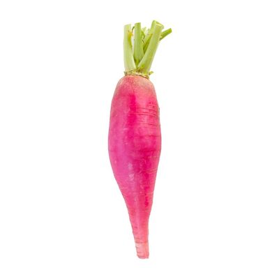 Purple Daikon Radish