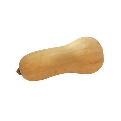 GreenPoint Butternut Squash