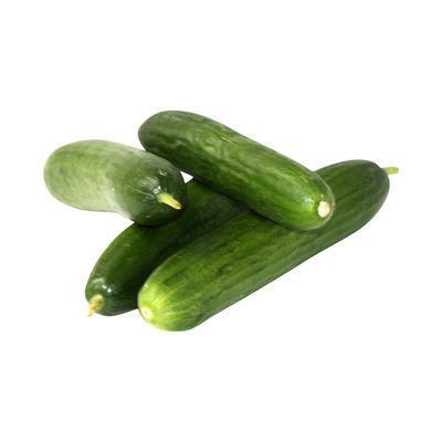 Mini Cucumber
