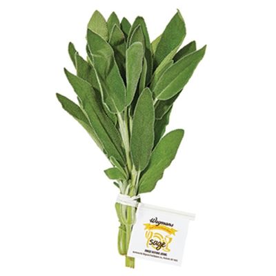 Sage