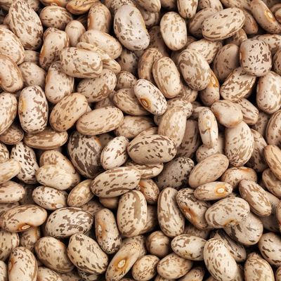 Pinto Beans