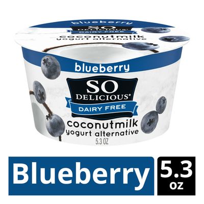 So Delicious Dairy Free Blueberry Coconut Milk Yogurt
